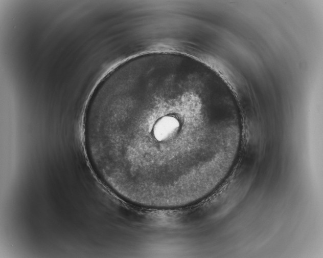 X0000094170950200711091122