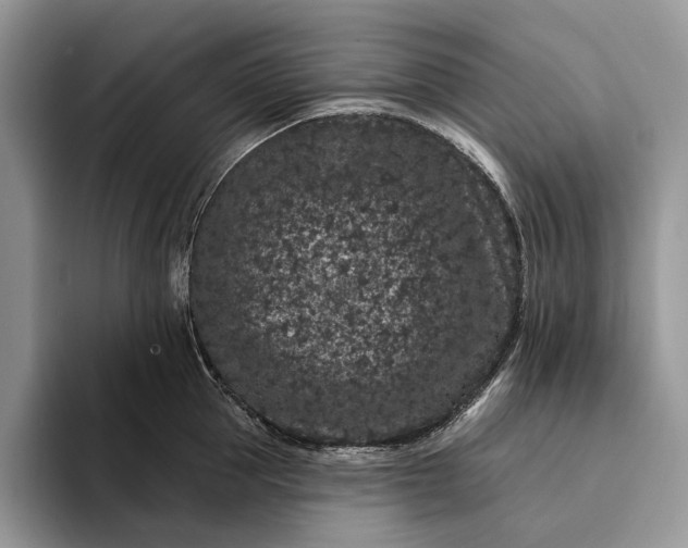 X0000094170953200711091122