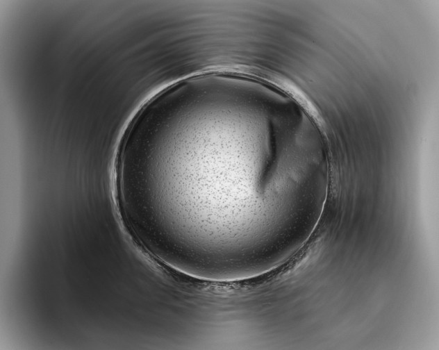 X0000094170955200711091122