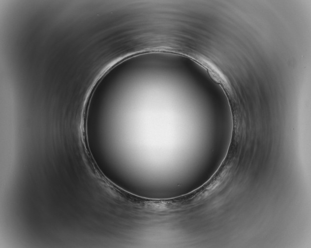 X0000094170956200711091122