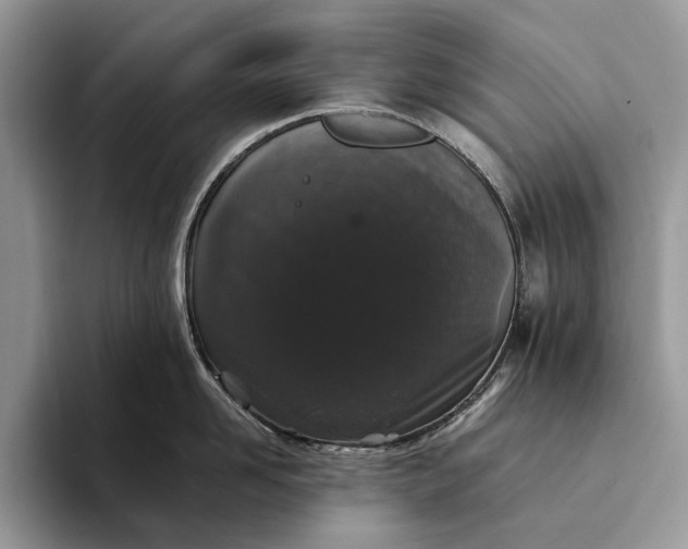 X0000094170958200711091122