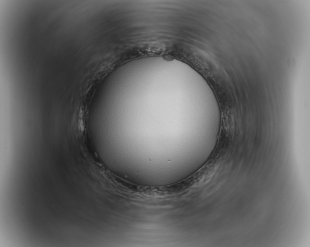 X0000094170962200711091121
