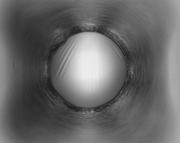 X0000094170964200711091121