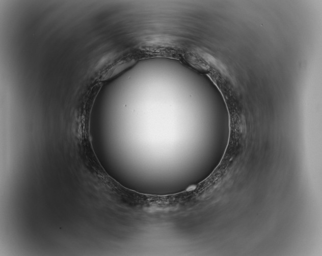 X0000094170965200711091121