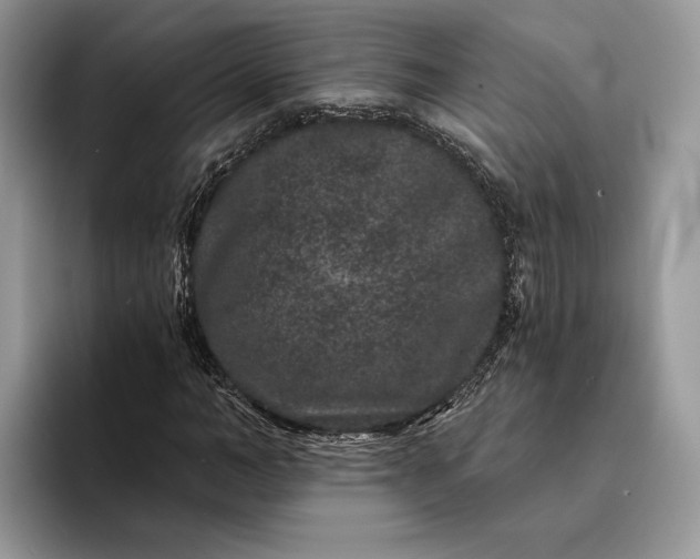 X0000094170966200711091121