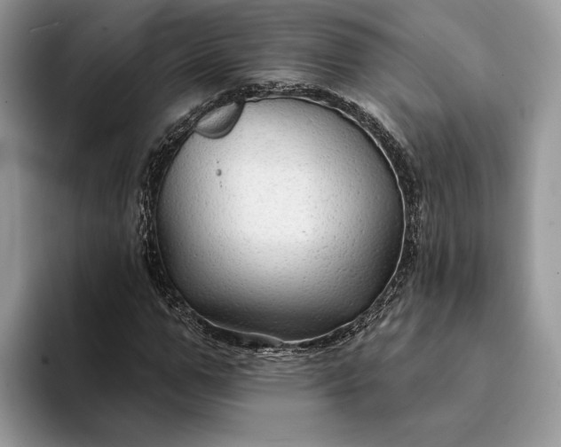 X0000094170967200711091121