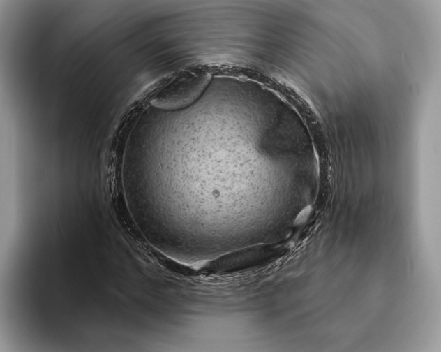 X0000094170968200711091121