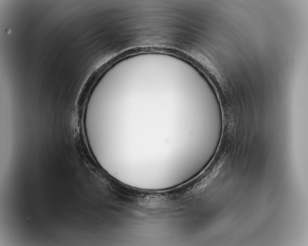 X0000094170974200711091121