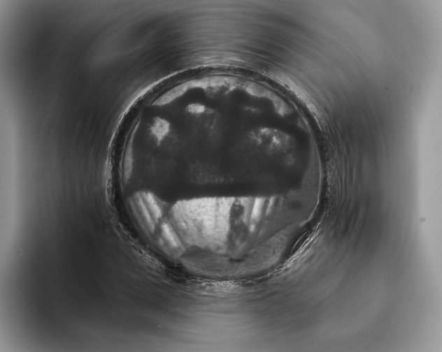 X0000094170975200711091121