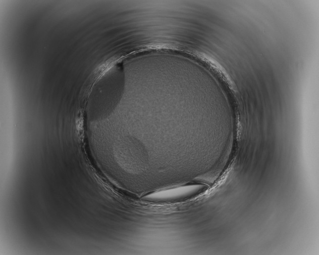 X0000094170977200711091121