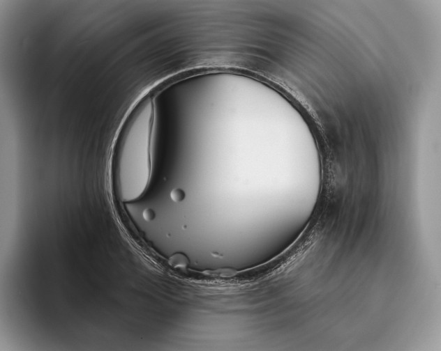 X0000094170980200711091121