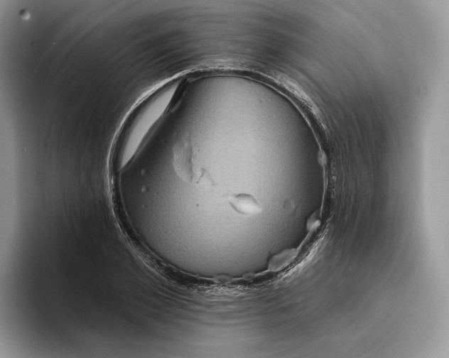 X0000094170981200711091121