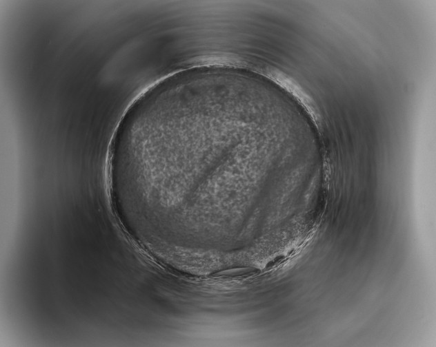 X0000094170983200711091121