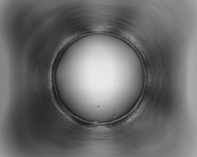 X0000094170986200711091121