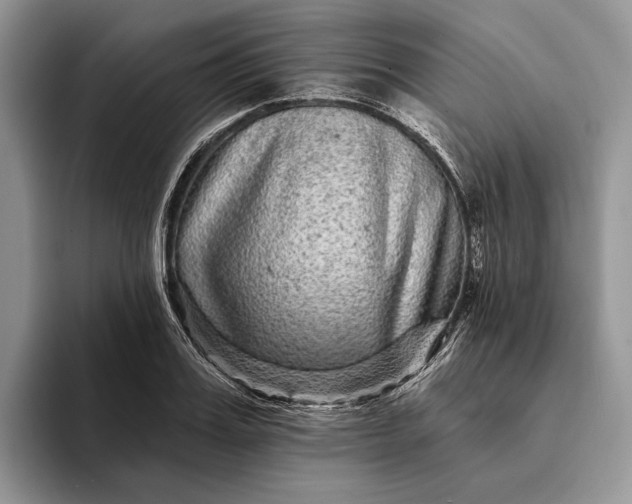 X0000094170987200711091121