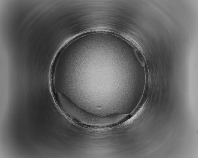 X0000094170989200711091121