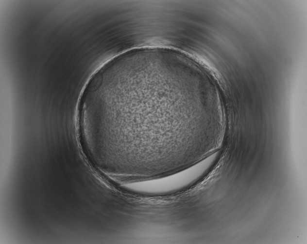 X0000094170990200711091121