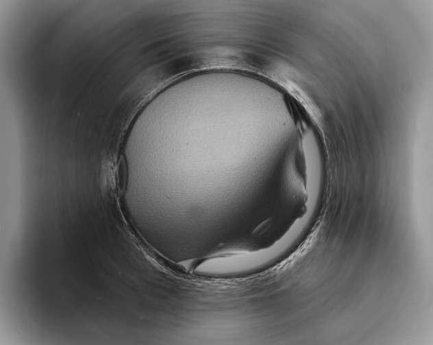 X0000094170993200711091121