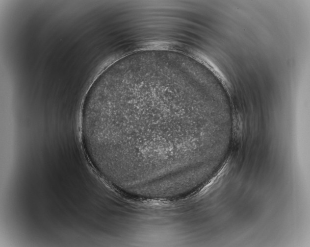 X0000094170994200711091121