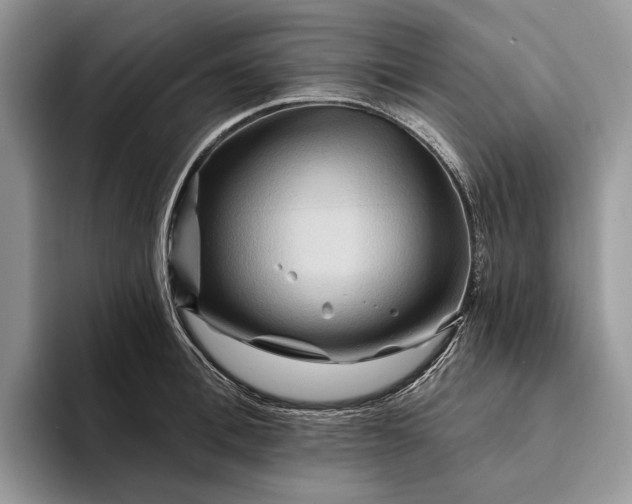 X0000094170996200711091121