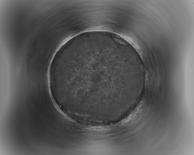 X0000094170998200711091121