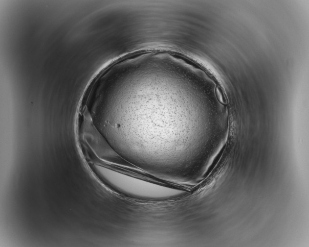 X0000094170999200711091121