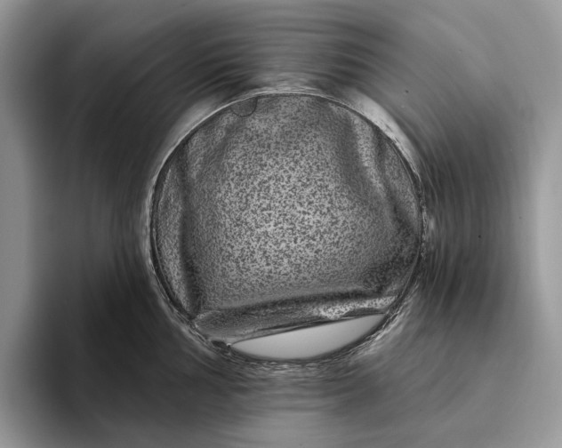 X0000094171002200711091121