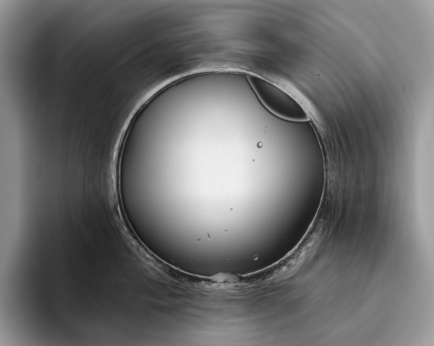 X0000094171004200711091121