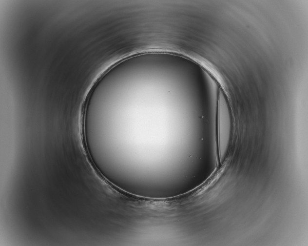 X0000094171006200711091121