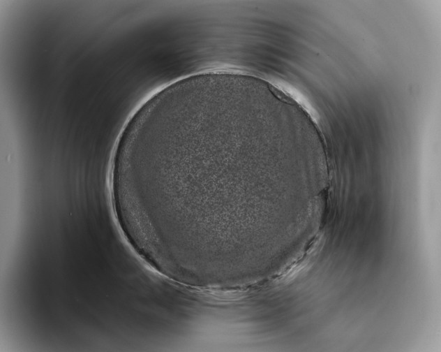 X0000094171007200711091120