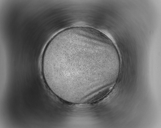 X0000094171008200711091120