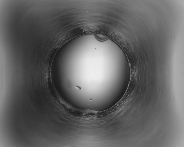 X0000094171012200711091120