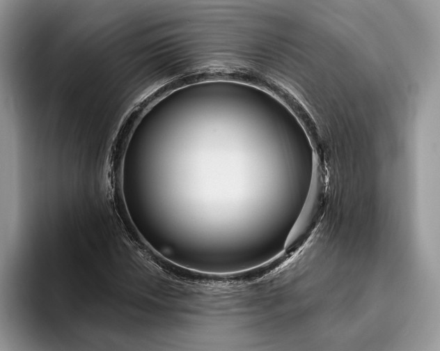 X0000094171018200711091120