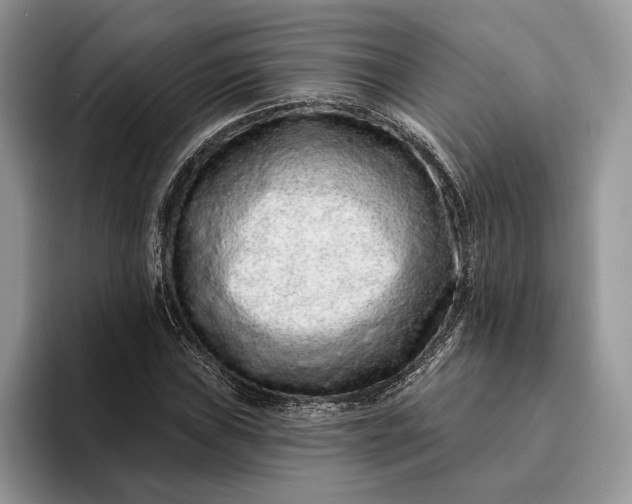 X0000094171019200711091120