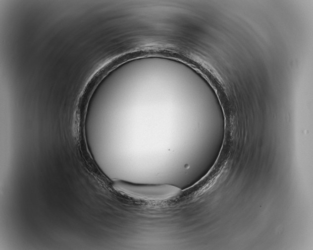 X0000094171021200711091120