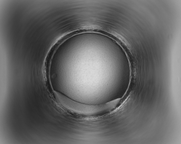 X0000094171022200711091120