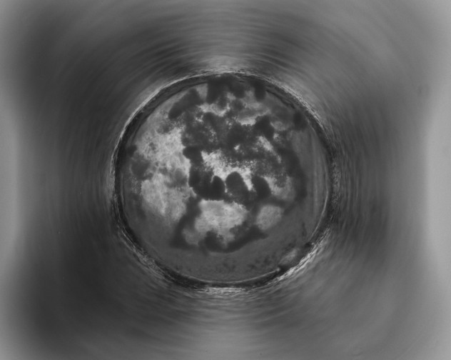 X0000094171023200711091120