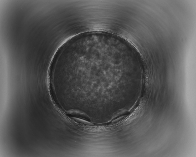 X0000094171024200711091120
