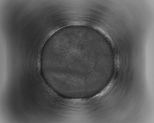 X0000094171025200711091120