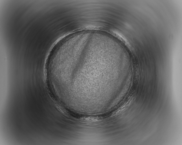 X0000094171027200711091120