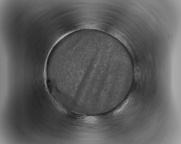 X0000094171028200711091120