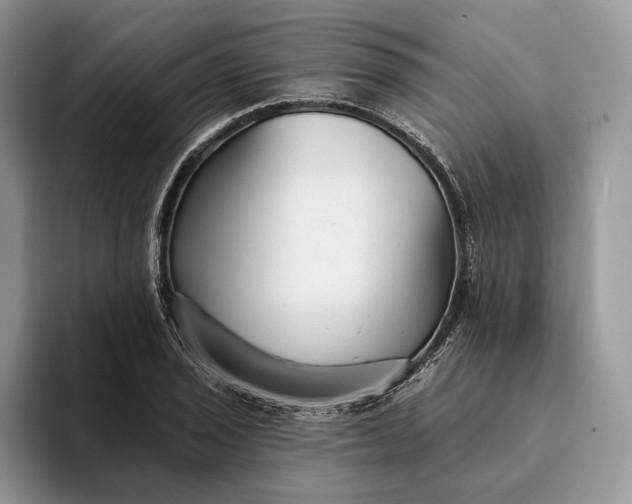 X0000094171029200711091120