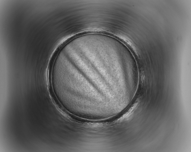 X0000094171030200711091120