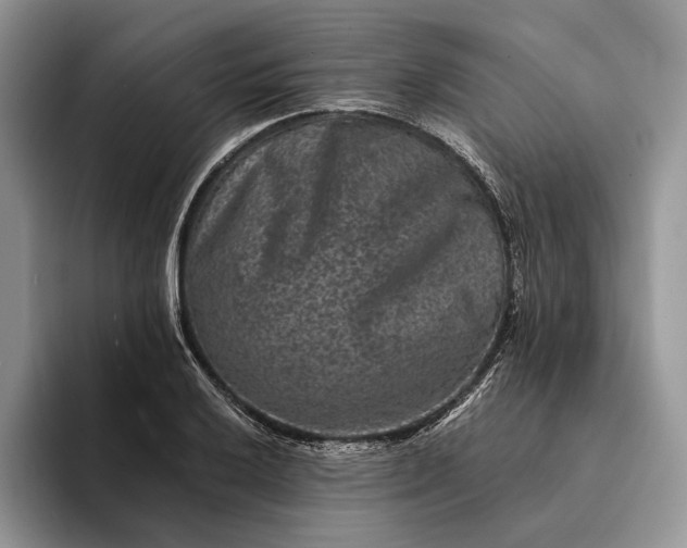 X0000094171032200711091120