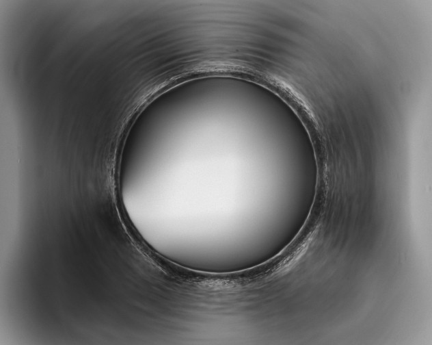 X0000094171033200711091120
