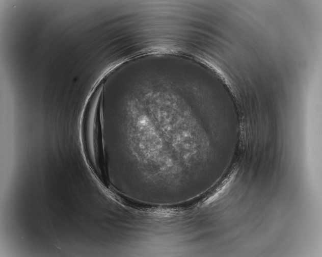 X0000094171034200711091120