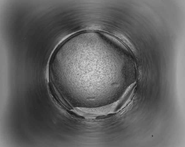 X0000094171036200711091120