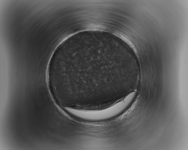 X0000094171037200711091120