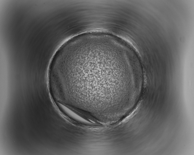 X0000094171038200711091120