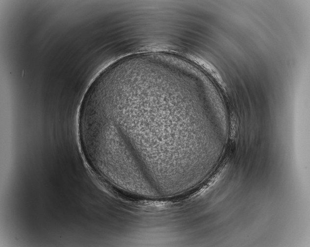 X0000094171039200711091120